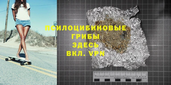тгк Лагань