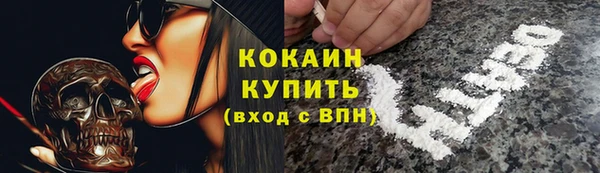 тгк Лагань