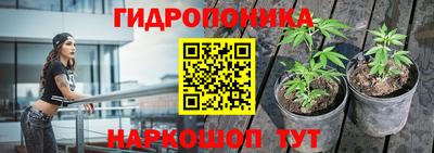 МДПВ Заволжье