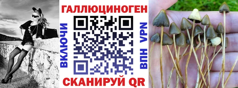 ОМГ ОМГ   Мирный  Галлюциногенные грибы мухоморы 