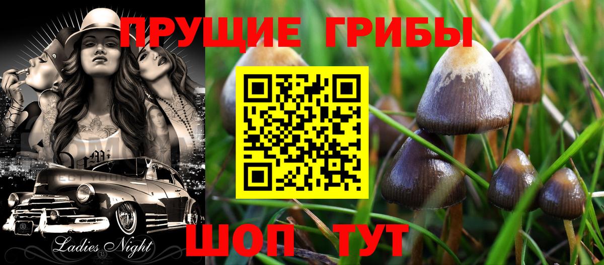 Мирный  Галлюциногенные грибы мухоморы  Вход с VPN 